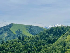 14/7/24, Chevrelles black run on Mont Chéry mid-summer in Les Gets, with Mont Blanc behind
