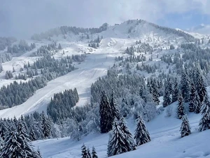 14-2-25, a lovely fresh snowfall before the busy half-term week